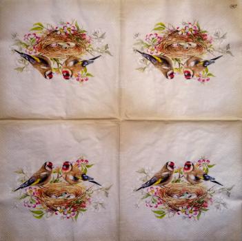 035 Vögel - 3-ply - Ihr